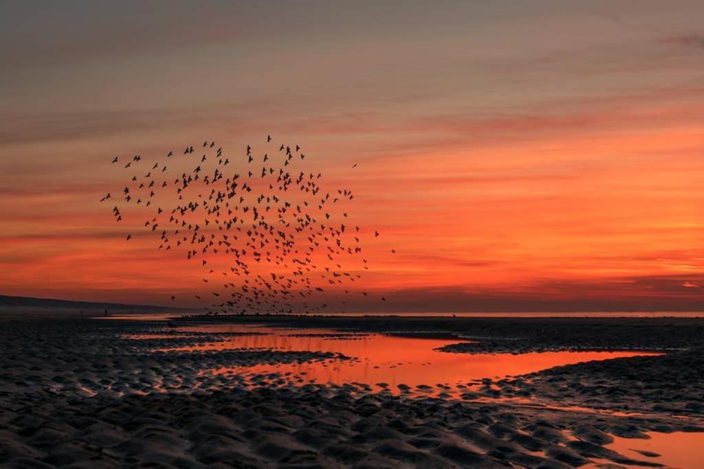 Hoekje Up Katwijk aan Zee Bagian luar foto