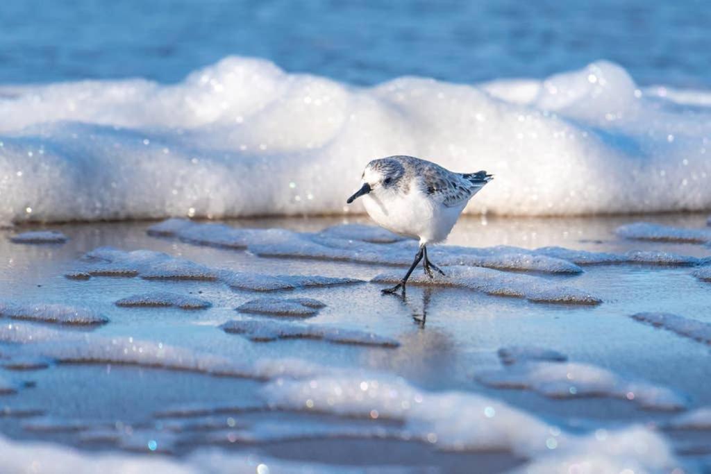 Hoekje Up Katwijk aan Zee Bagian luar foto